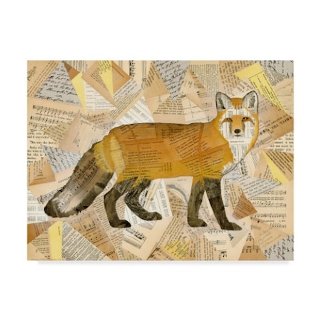Nikki Galapon 'Red Fox Collage I' Canvas Art,14x19